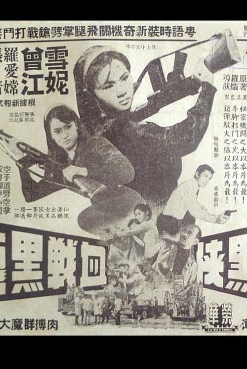 The Woman in Black and the Black Dragon poster