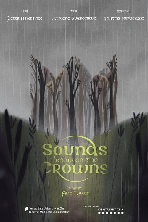Sounds Between the Crowns poster