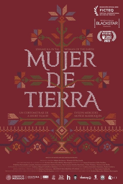 Mujer de Tierra poster