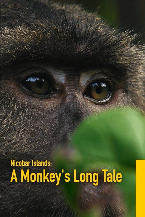 Nicobar Islands: A Monkey's Long Tale poster