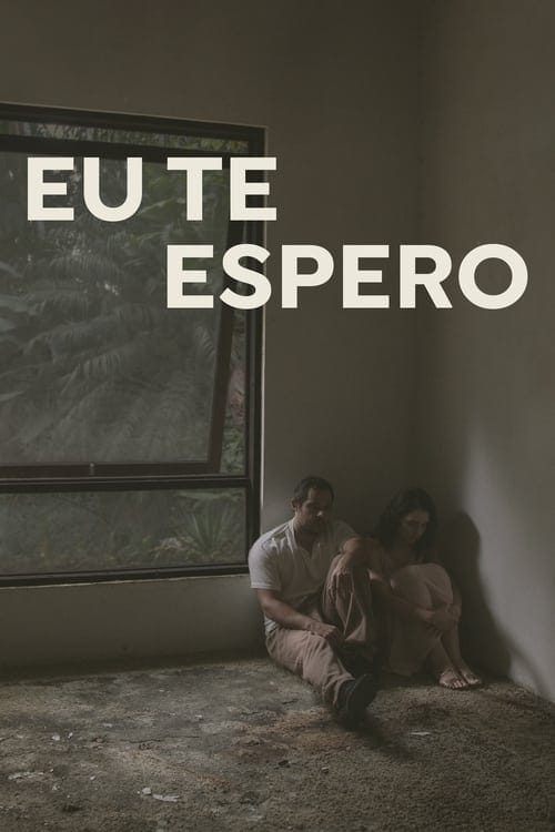 I Wait for You poster