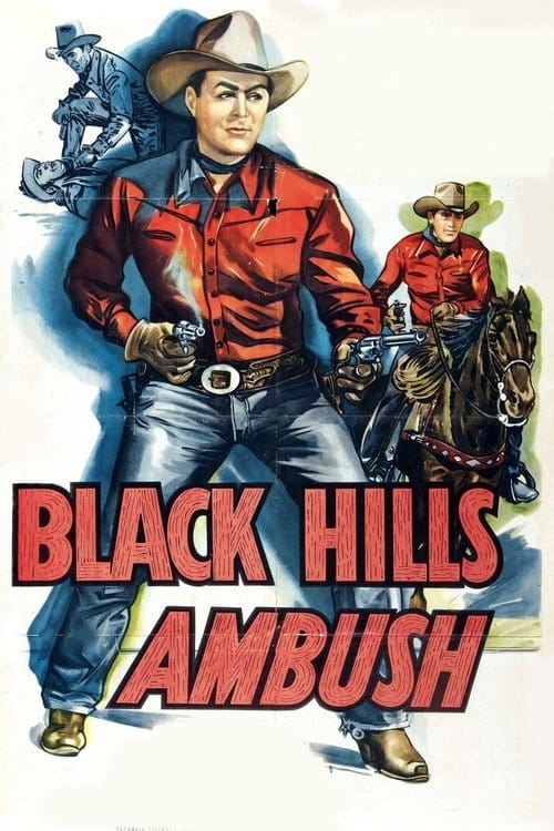 Black Hills Ambush poster
