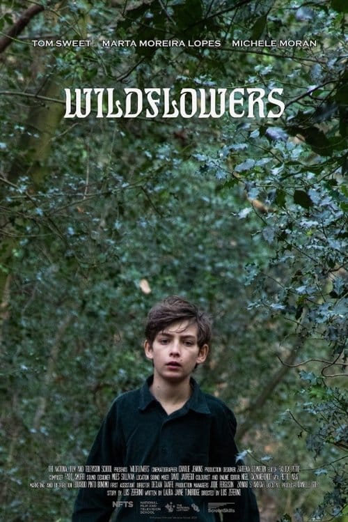 Wildflowers poster