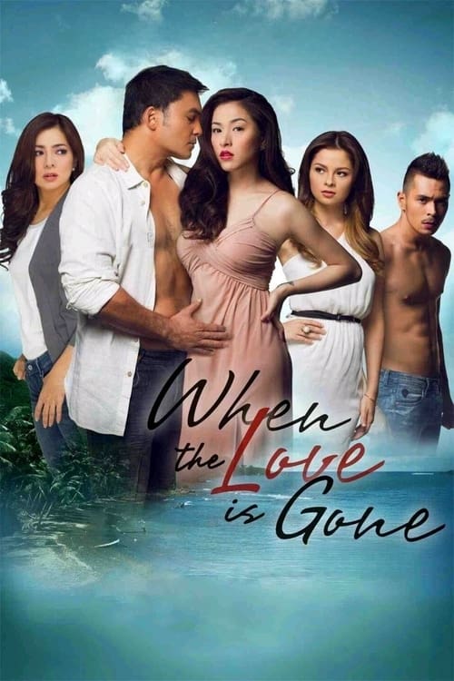 When the Love is Gone poster